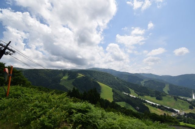 Land for Sale in Nozawa Onsen Village, Nagano - 1,055m² - Thumbnail 2