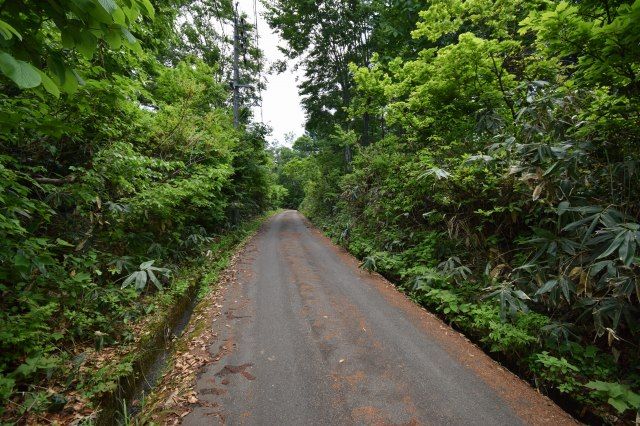 Land for Sale in Nozawa Onsen Village, Nagano - 1,055m² - Thumbnail 4