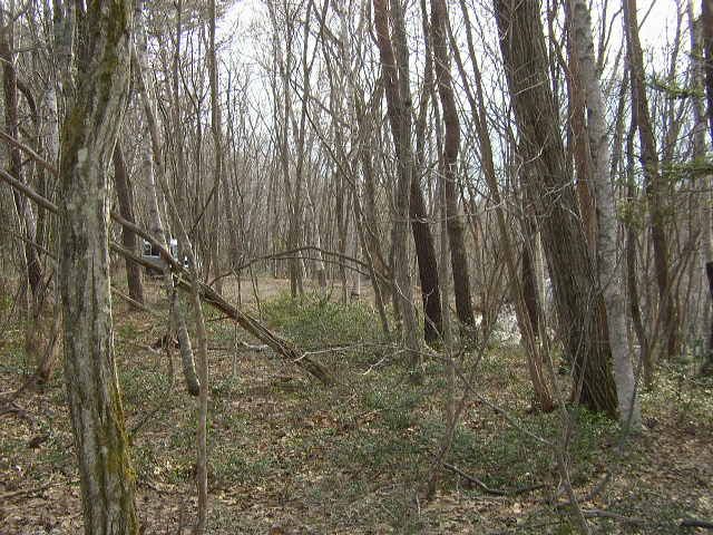 Land for Sale in Nagano City with Mountain and River Views - Thumbnail 4