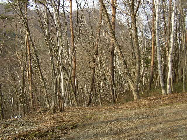 Land for Sale in Nagano City with Mountain and River Views - Thumbnail 3