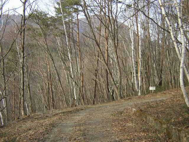 Land for Sale in Nagano City with Mountain and River Views - Thumbnail 2
