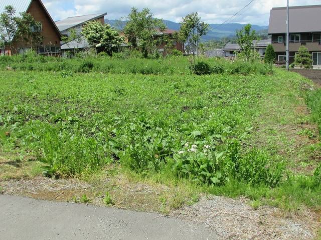 Agricultural Land for Sale in Kijimadaira Village, Nagano - Thumbnail 4
