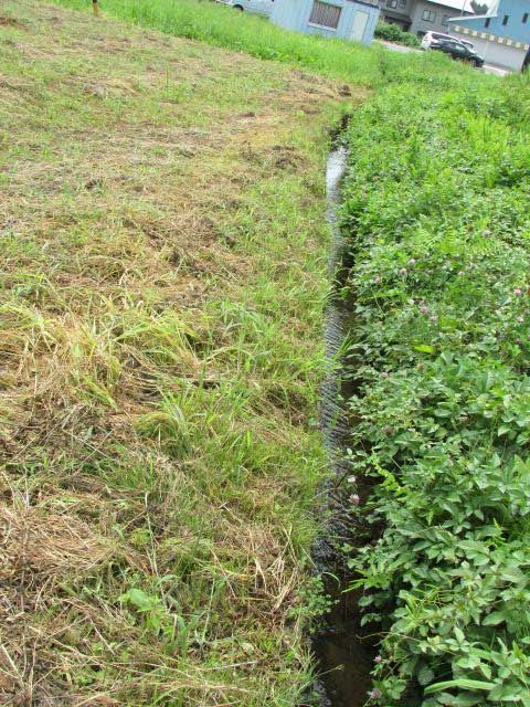 Land for Sale in Iiyama, Nagano - 216.04 sqm Residential Plot - Thumbnail 3