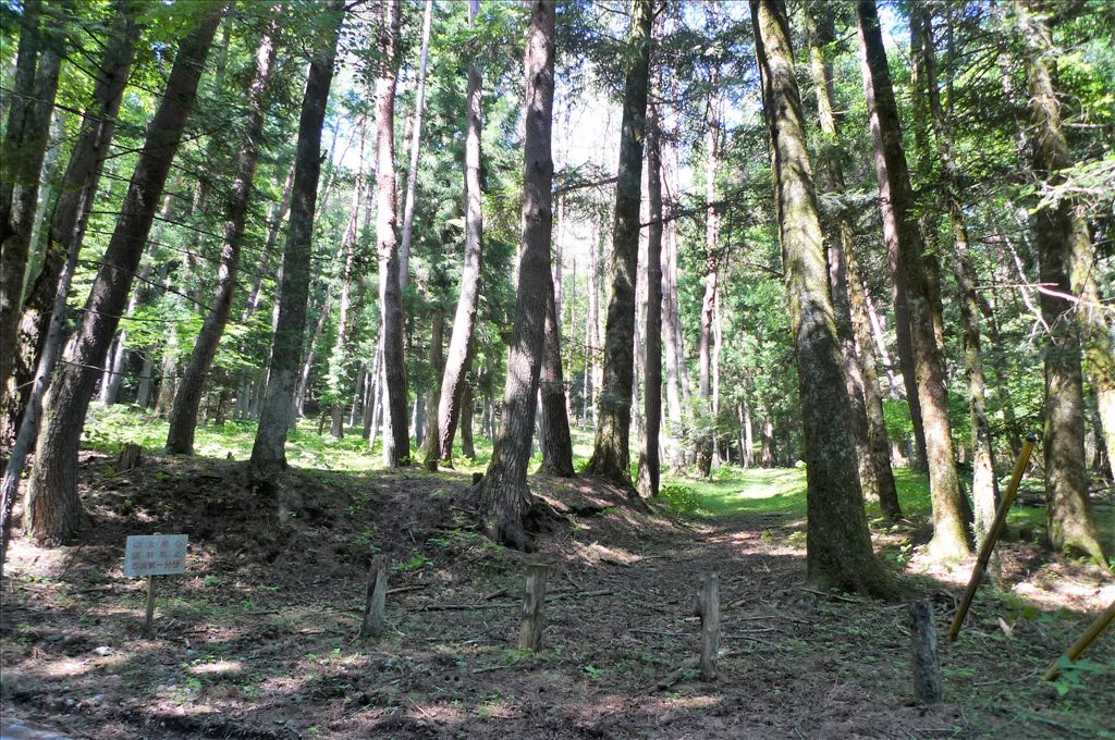 9,160 sqm Land for Sale in Oshino Village near Mount Fuji - Thumbnail 2