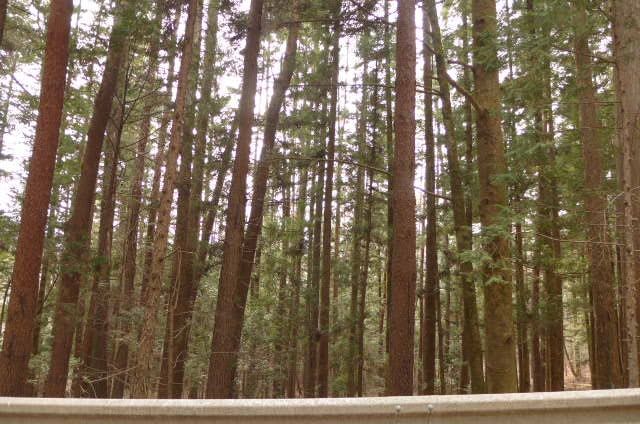 9,160 sqm Land for Sale in Oshino Village near Mount Fuji - Thumbnail 3