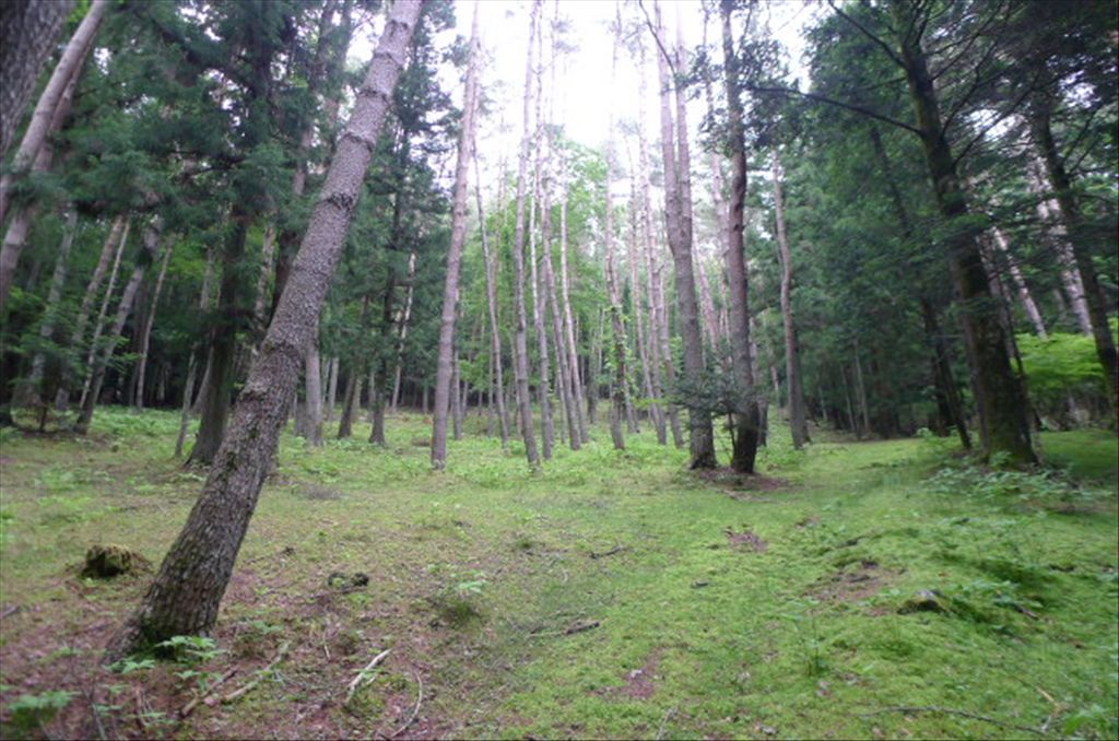 9,160 sqm Land for Sale in Oshino Village near Mount Fuji - Thumbnail 4