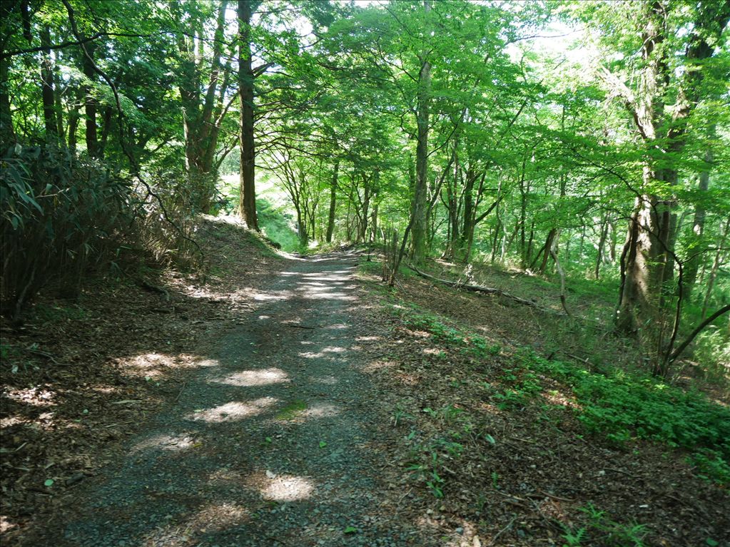 6,646m² Hakone Sengokuhara Land for Sale | Resort Development - Thumbnail 3