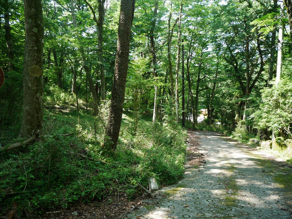 6,646m² Hakone Sengokuhara Land for Sale | Resort Development - Thumbnail 4