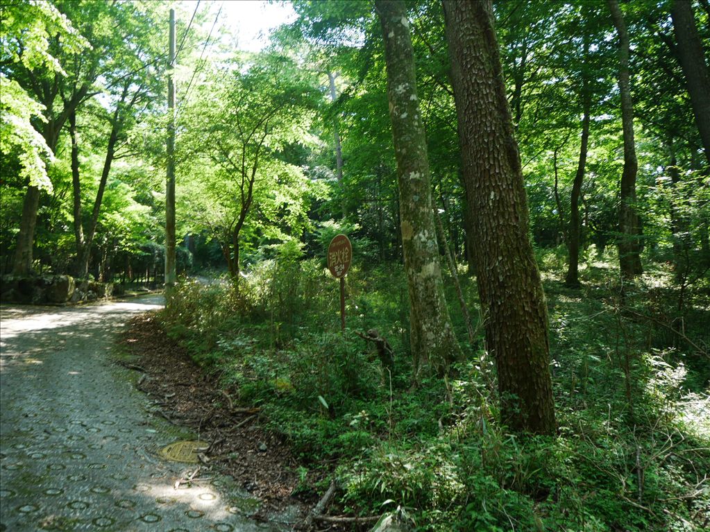 6,646m² Hakone Sengokuhara Land for Sale | Resort Development - Thumbnail 2