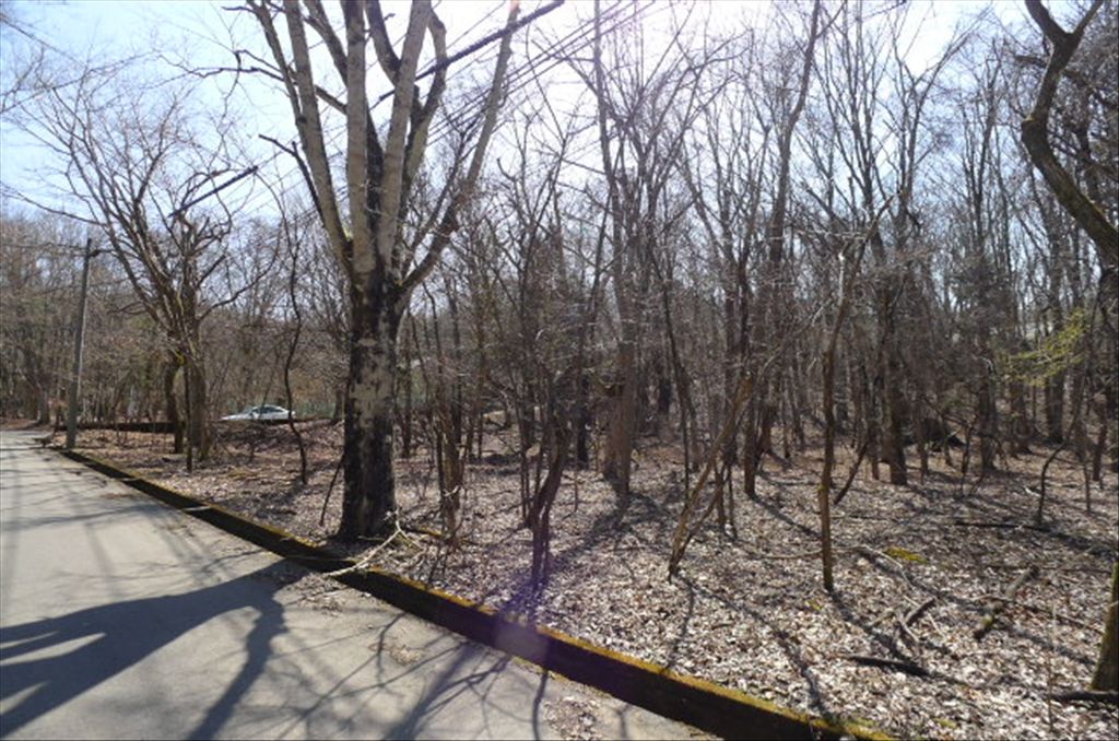 999 Tsubo Flat Land for Sale in Yamanakako near Mount Fuji - Thumbnail 4