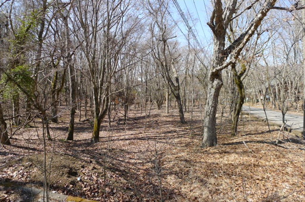 999 Tsubo Flat Land for Sale in Yamanakako near Mount Fuji - Thumbnail 3