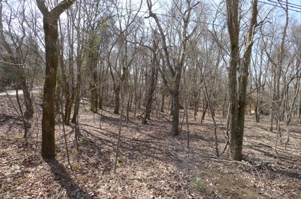 999 Tsubo Flat Land for Sale in Yamanakako near Mount Fuji - Thumbnail 2