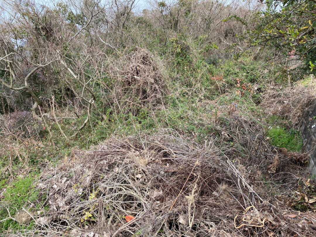 Land for Sale in Kawara Town, Fukuoka - Thumbnail 4