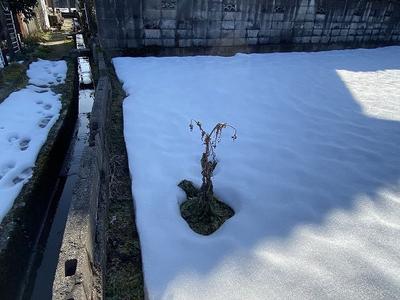 Vacant lot [No. 78] 500 koku - Property details - Toyama Prefecture Tateyama Town Vacant House Bank Site — Image 4, Tateyama, Toyama
