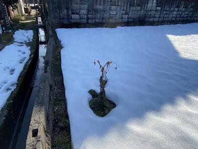 Vacant lot [No. 78] 500 koku - Property details - Toyama Prefecture Tateyama Town Vacant House Bank Site — Image 1, Tateyama, Toyama
