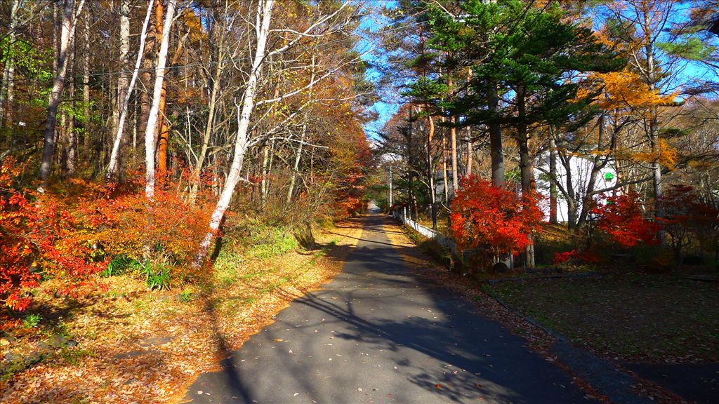 Land with House in Karuizawa Thousand Falls Villa District - Thumbnail 4