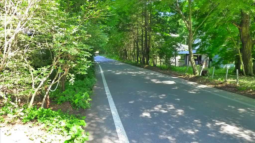 Vacant Land for Sale in Karuizawa's Oiwake Bunka Village - Thumbnail 4