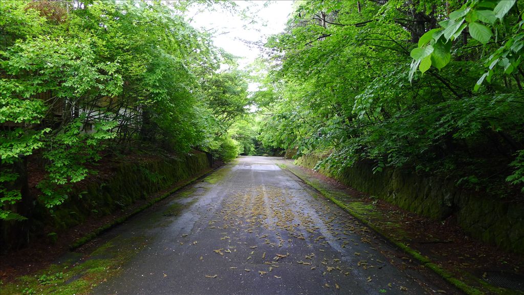 984m² Land for Sale in Karuizawa Senkatori Villa Area - Thumbnail 2