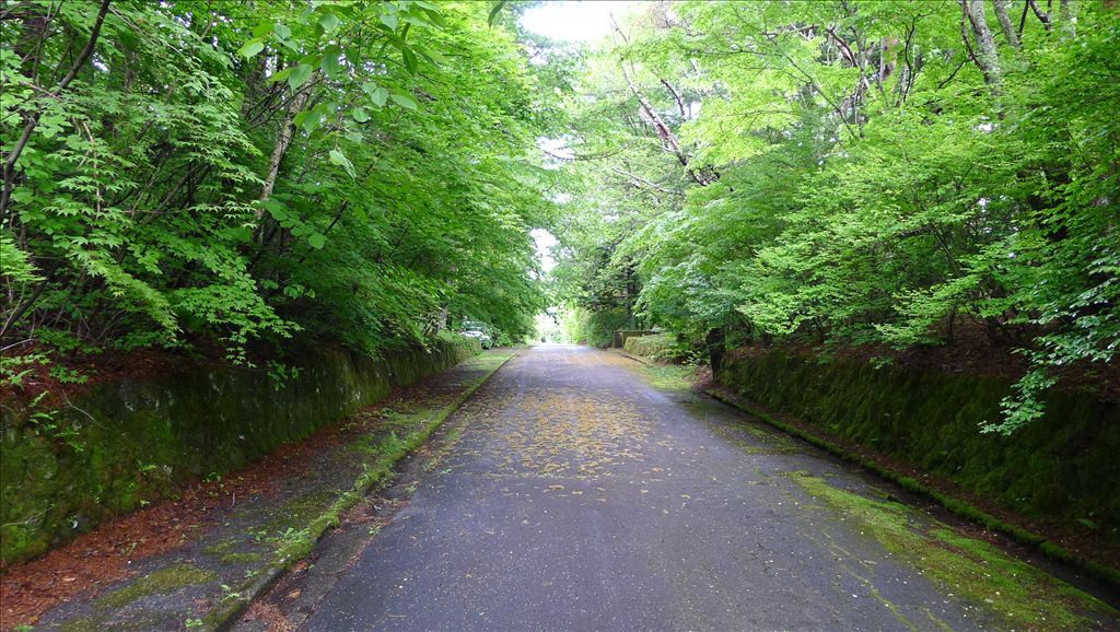 984m² Land for Sale in Karuizawa Senkatori Villa Area - Thumbnail 3