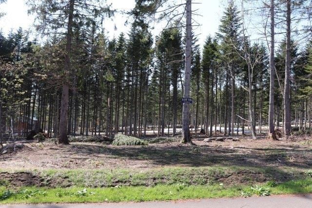 Niseko Annupuri Residence Land for Sale in Hokkaido National Park - Thumbnail 3