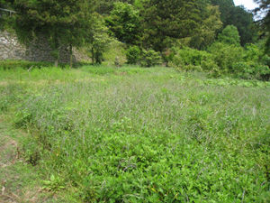 1,040 sqm farmland for sale in Kawara Town, Fukuoka - Thumbnail 2