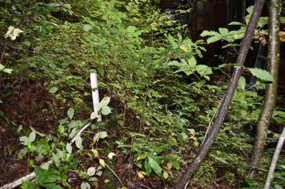 22-0036 - Property Details - Gunma Prefecture Tsumagoi Village Vacant House Bank Site — Image 2, Takasaki, Gunma