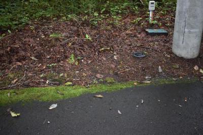 22-0036 - Property Details - Gunma Prefecture Tsumagoi Village Vacant House Bank Site — Image 4, Takasaki, Gunma