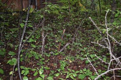 22-0036 - Property Details - Gunma Prefecture Tsumagoi Village Vacant House Bank Site — Image 3, Takasaki, Gunma