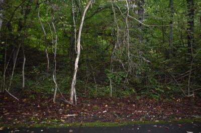 22-0036 - Property Details - Gunma Prefecture Tsumagoi Village Vacant House Bank Site — Image 1, Takasaki, Gunma