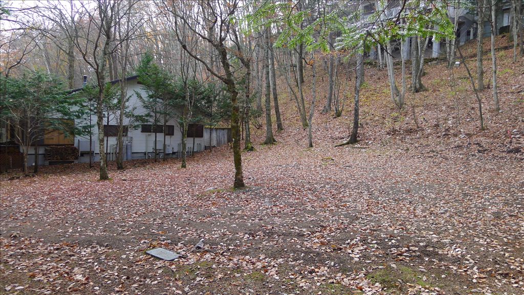161 Tsubo Land for Sale in Old Karuizawa, Nagano - Thumbnail 4