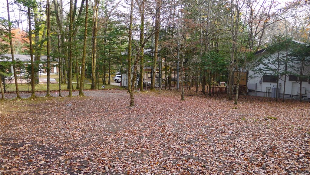 161 Tsubo Land for Sale in Old Karuizawa, Nagano - Thumbnail 3