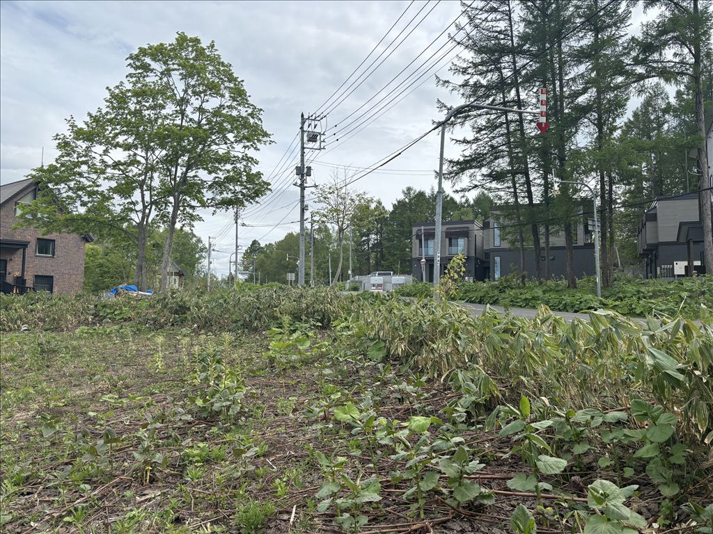 1,459m² Land for Sale with Mount Yotei Views in Niseko, Hokkaido - Thumbnail 4