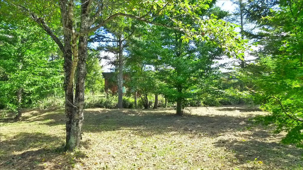 Flat Vacant Land for Sale in South Karuizawa, Nagano - Thumbnail 2