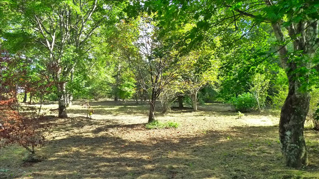 Flat Vacant Land for Sale in South Karuizawa, Nagano - Thumbnail 3
