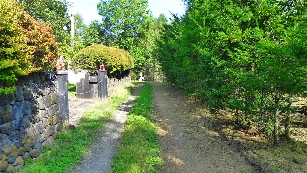 Flat Vacant Land for Sale in South Karuizawa, Nagano - Thumbnail 4