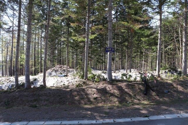 Niseko Annupuri Residence Land for Sale in Hokkaido National Park - Thumbnail 2