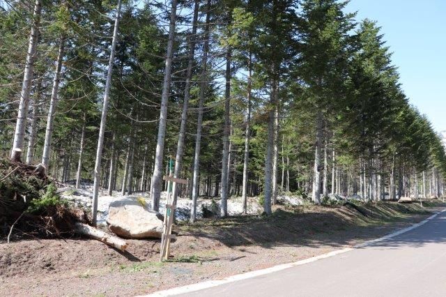 Niseko Annupuri Residence Land for Sale in Hokkaido National Park - Thumbnail 4