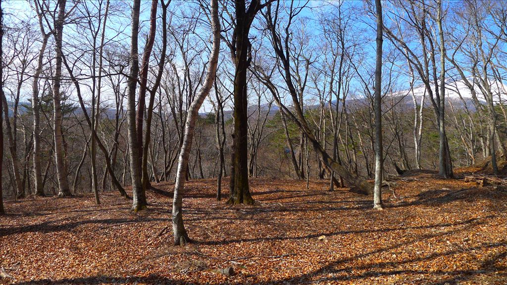 Vacant Land for Sale in Karuizawa Thousand Falls Resort, Nagano - Thumbnail 4