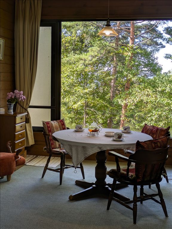 1LDK Apartment in Tateshina Tokyu Resort Town, Nagano - Thumbnail 4