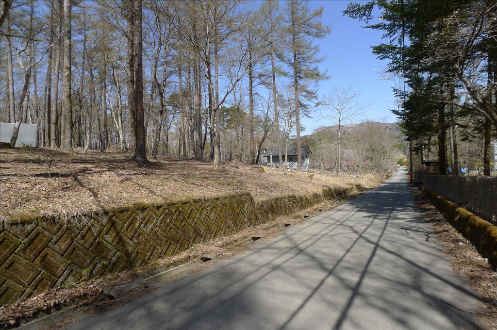 605 Tsubo Forest Land for Sale Near Lake Yamanaka, Yamanashi - Thumbnail 4