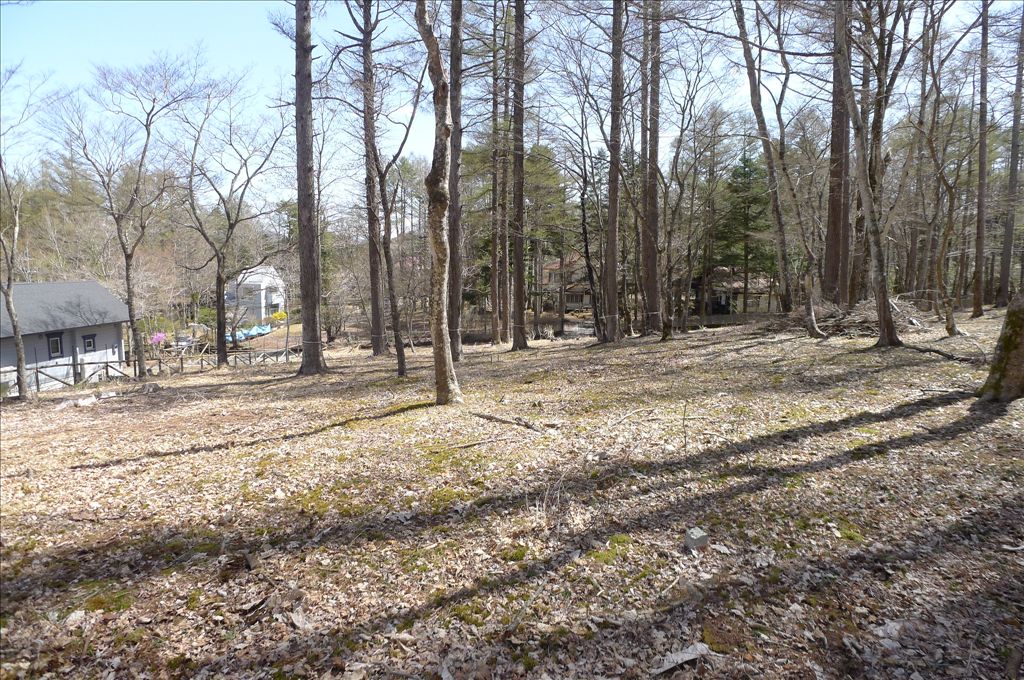 605 Tsubo Forest Land for Sale Near Lake Yamanaka, Yamanashi - Thumbnail 2