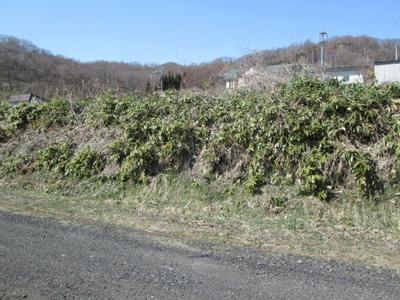 Land for Sale in Toyako Town — Image 1, Toyako, Hokkaido
