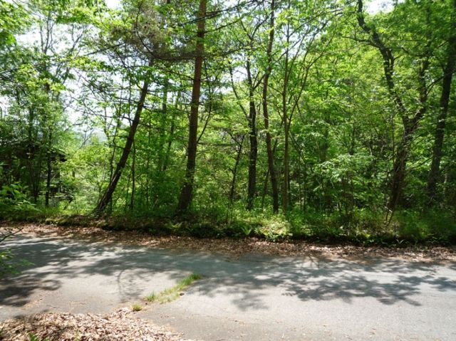797m2 Land for Sale in Karuizawa Sen-gataki Villa District - Thumbnail 4