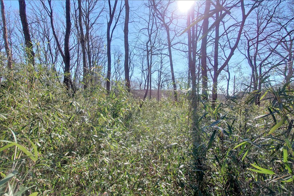 Vacant Land for Sale in Royal Valley East, Nasu Highlands - Thumbnail 4