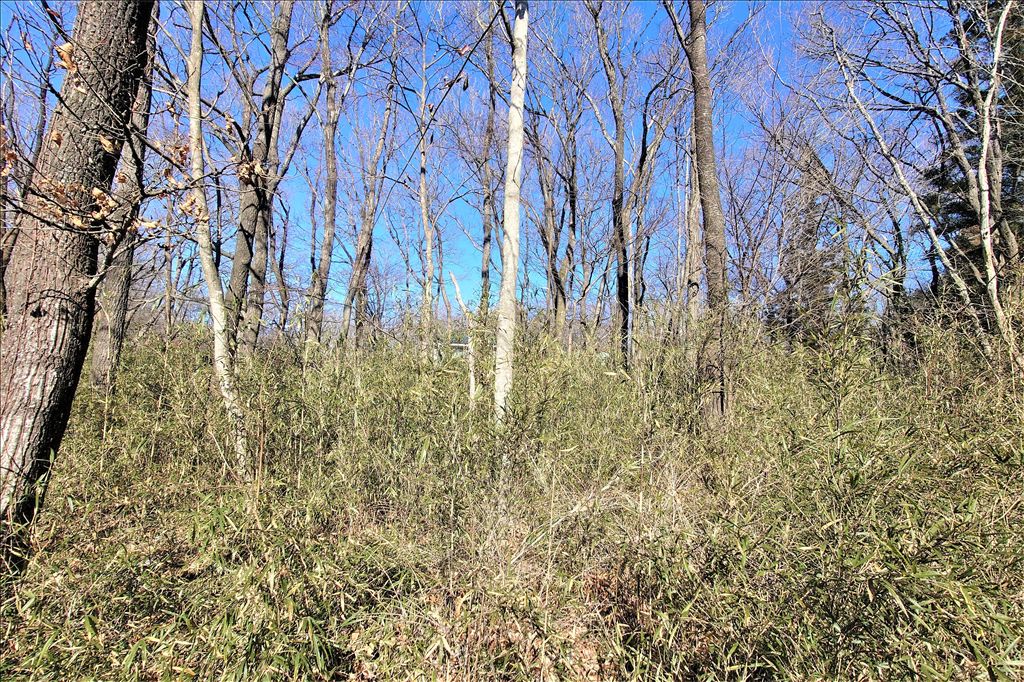 Vacant Land for Sale in Royal Valley East, Nasu Highlands - Thumbnail 3
