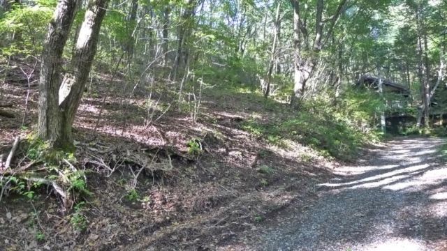 Vacant Land for Sale in Karuizawa's Tsurudame Resort Area - Thumbnail 2