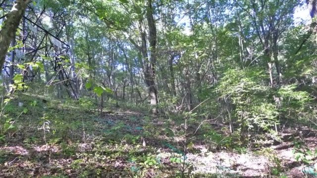Vacant Land for Sale in Karuizawa's Tsurudame Resort Area - Thumbnail 3