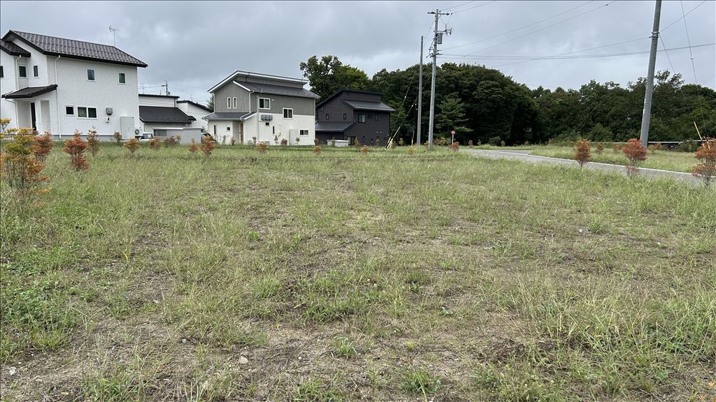 Land for Sale in Miyota, Karuizawa - Build Your Villa - Thumbnail 2
