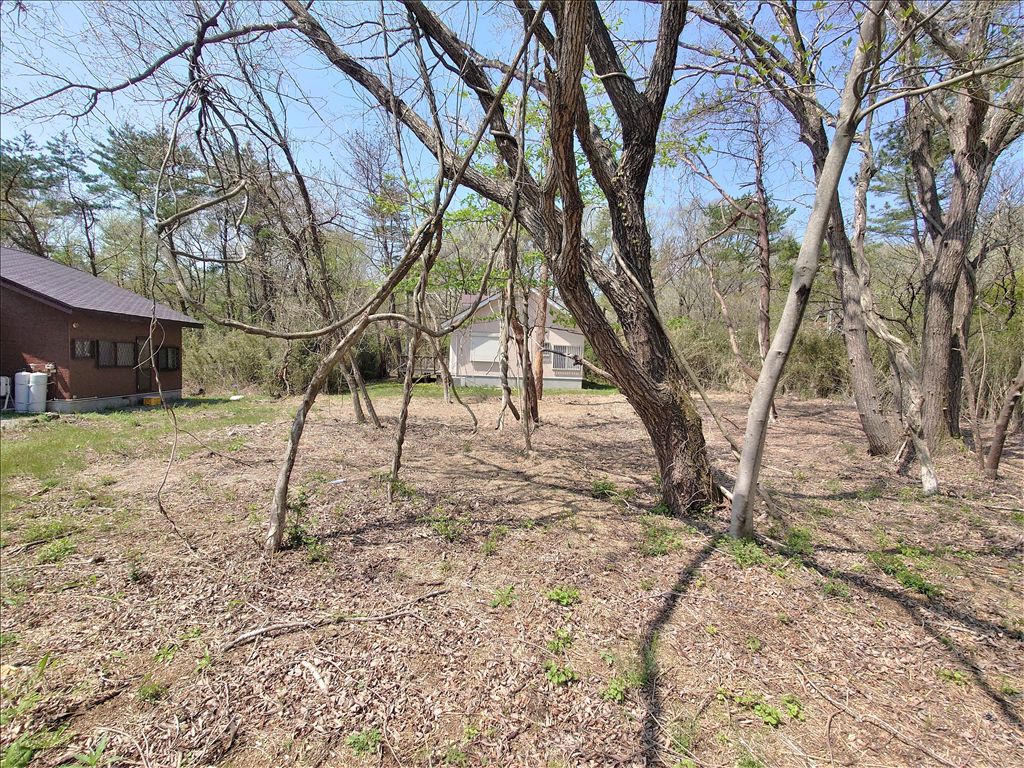 Royal Valley East Land for Sale in Nasu Highlands, Tochigi - Thumbnail 3