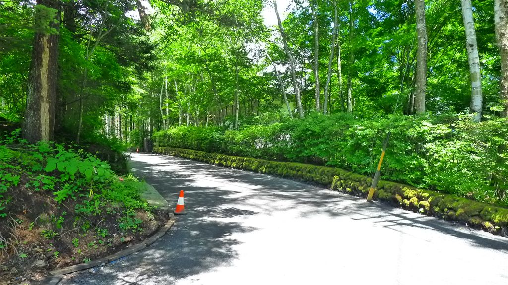 3,010 sqm Land for Sale in Karuizawa's Oiwake Asamayama Area - Thumbnail 2
